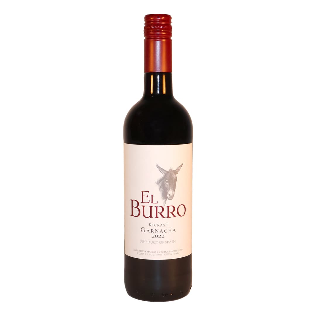 raudvin_el_burro_.jpg